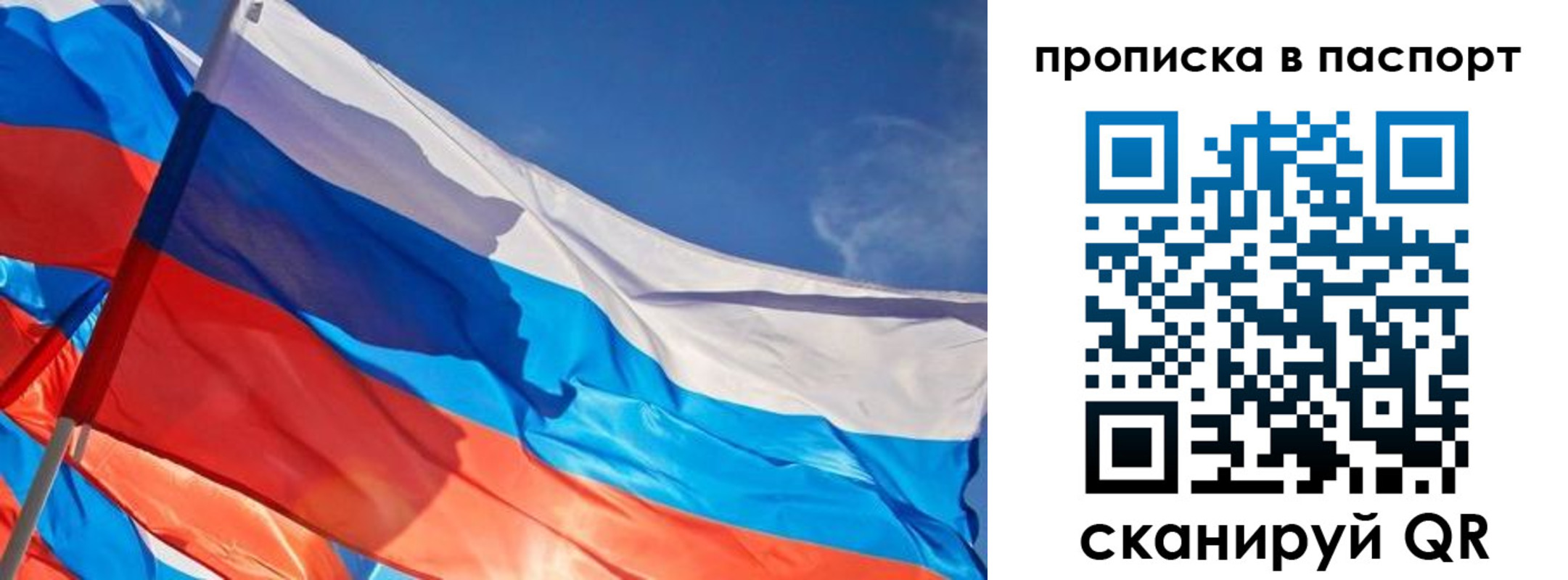 временная регистрация поиск в Луге